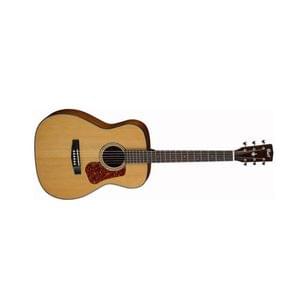 Cort L 500 C Acoustic Guitar